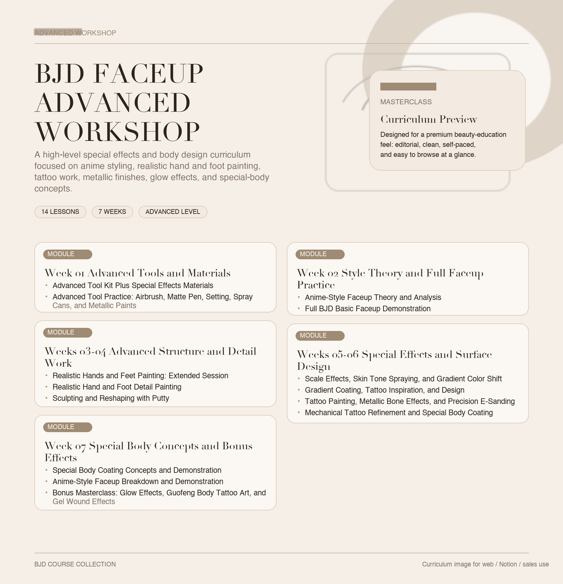 Pro Workshop curriculum preview
